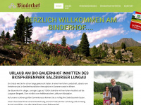 binderhof.info Webseite Vorschau