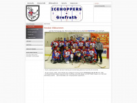 icehoppers.net Webseite Vorschau