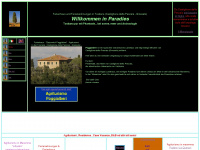 poggialberi.net Webseite Vorschau