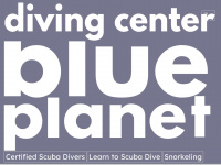 blueplanet-diving.com Webseite Vorschau