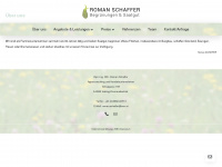 roman-schaffer.com Webseite Vorschau