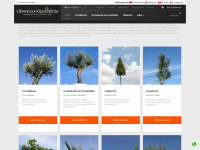 olivenbaum.de Webseite Vorschau