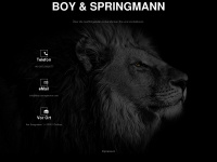boy-springmann.com Thumbnail