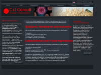 ciconsult.net Webseite Vorschau