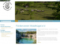 foerderverein-waldhuegel.org Webseite Vorschau