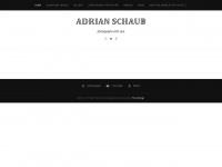 adrianschaub.com