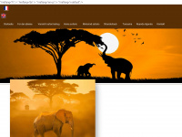 kenia-safari.com Webseite Vorschau
