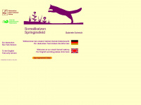 springinsfeld.net Webseite Vorschau