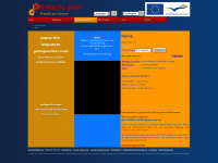 didactic-pilot.eu Webseite Vorschau