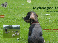 joybringer-bearded.de Webseite Vorschau