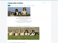 caterville-collies.de Webseite Vorschau