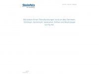steinfels-artconsulting.com Webseite Vorschau