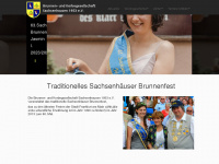 brunnenfest-sachsenhausen.de Webseite Vorschau