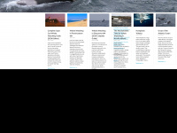 atlanticwhales.com Webseite Vorschau