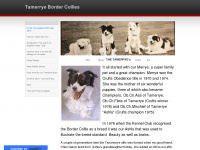 tamerryecollies.weebly.com Webseite Vorschau