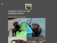 goldbach-ranch.ch Webseite Vorschau