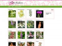 les-orchidees-de-sam.ch