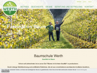 baumschule-werth.it Webseite Vorschau