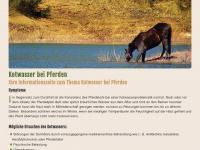 kotwasser.info Webseite Vorschau