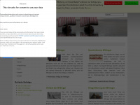 wikingerzeit.net Webseite Vorschau