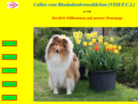 Collies-vom-rhododendronwaeldchen.com