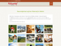 faltnerhof.com Webseite Vorschau