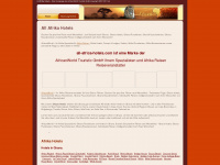 all-afrika-hotels.net Webseite Vorschau