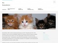 bio-katzenfutter.net Webseite Vorschau