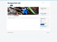 blueportal.net Webseite Vorschau