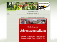 blumen-dennhardt.net Webseite Vorschau
