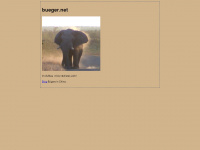 bueger.net Webseite Vorschau