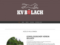 Kv-buelach.net