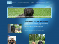 monstadt.net Webseite Vorschau