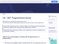 programmieren-lernen.net Webseite Vorschau