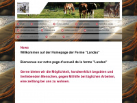 reiten-aus-freude.net Webseite Vorschau
