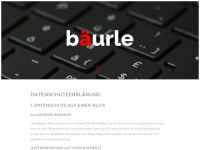 baeurle.info Webseite Vorschau