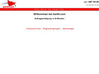 bat45.com Webseite Vorschau