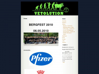 bergfest2010.wordpress.com Webseite Vorschau