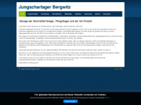 bergwitzlager.info Webseite Vorschau