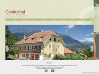 goidnerhof.it Webseite Vorschau