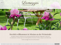 leimegger.it Webseite Vorschau