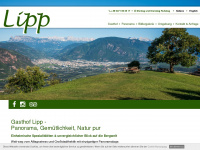 lipp.it Webseite Vorschau