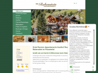 rabenstein.it Webseite Vorschau