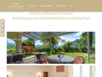 saltnerhof.it Webseite Vorschau