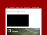 polo-poschiavo.ch Webseite Vorschau