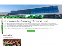 heyl.nl Webseite Vorschau