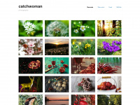 catchwoman.wordpress.com Thumbnail