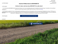 morawetz.info Webseite Vorschau
