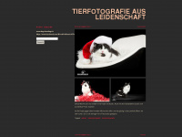 tierfotografie.tumblr.com Webseite Vorschau