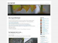 Wittlicher.wordpress.com